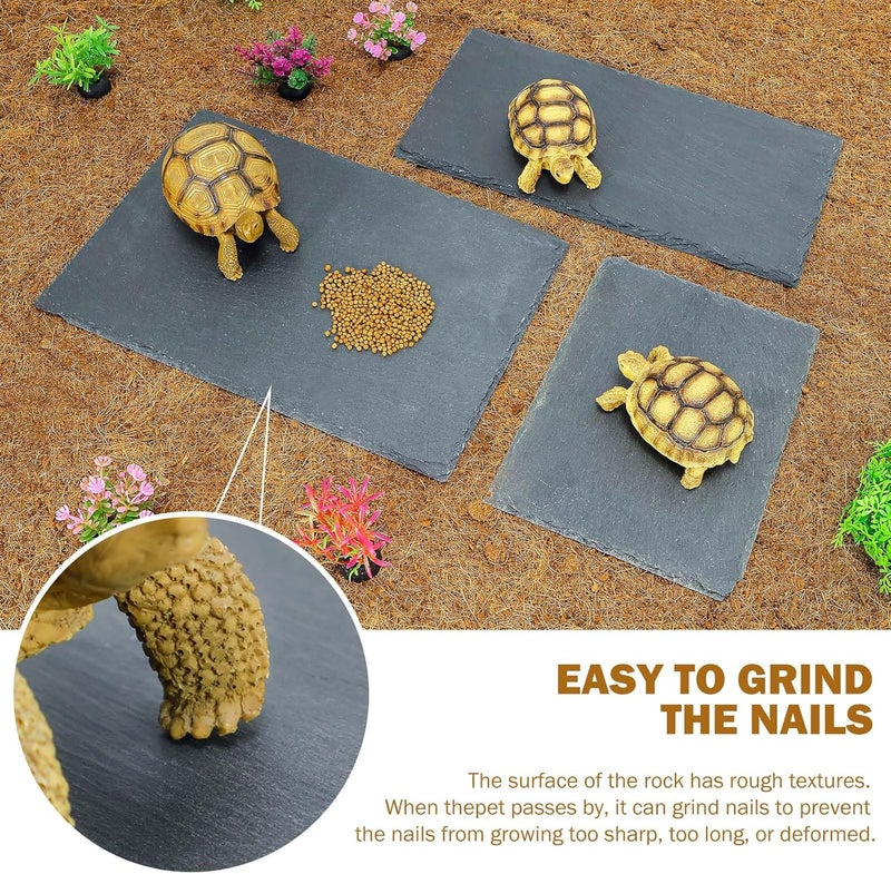BINANO Tortoise Habitat basking Rock Feeding Dish Bearded Dragon/Lizard Original Rock Slab,Easy to Grind The Nails,with Non-Slip mats,Natural Food Bowl,Moisturizing Effect(Large- Size) - Image 3